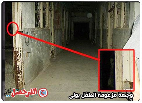 أشباح المستشفى الملعون