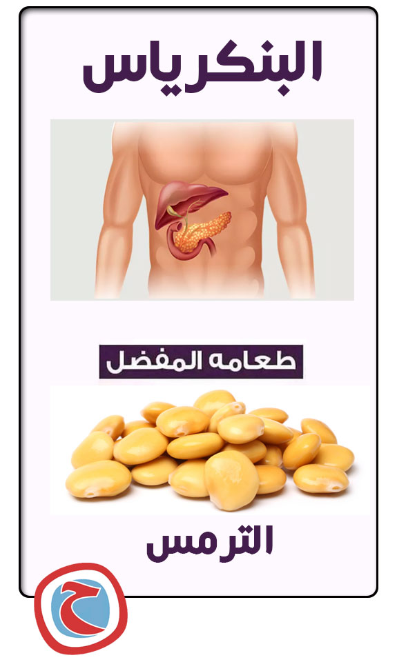 الطعام المفضل لكل عضو فى جسمك