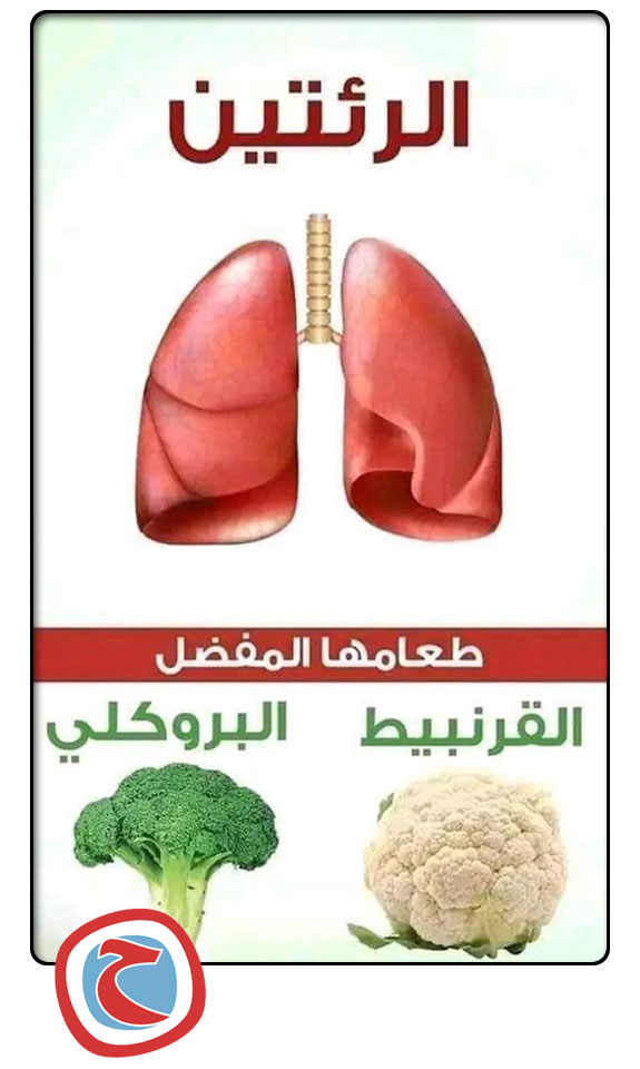 الطعام المفضل لكل عضو فى جسمك