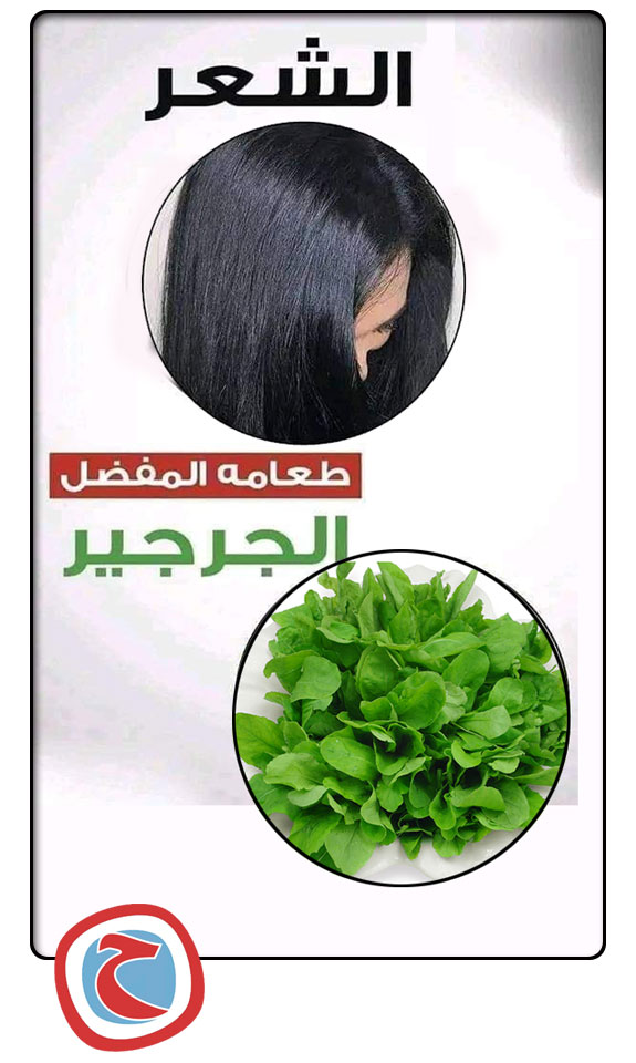 الطعام المفضل لكل عضو فى جسمك