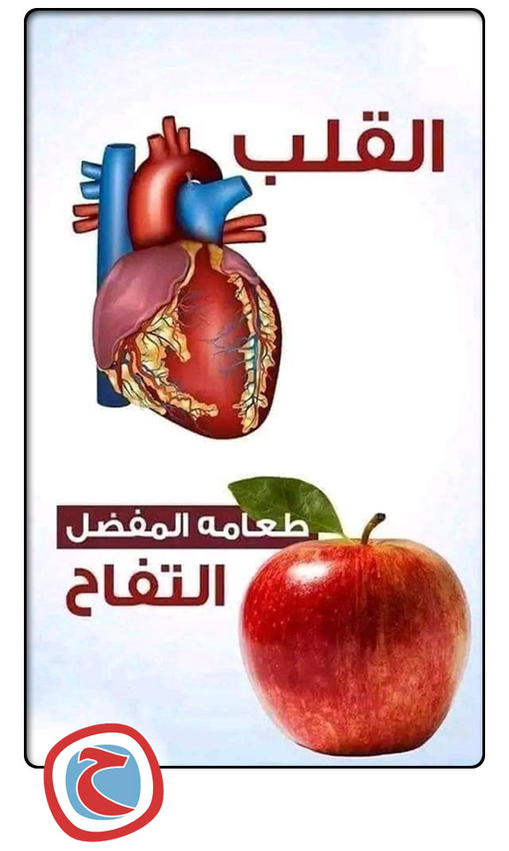 الطعام المفضل لكل عضو فى جسمك