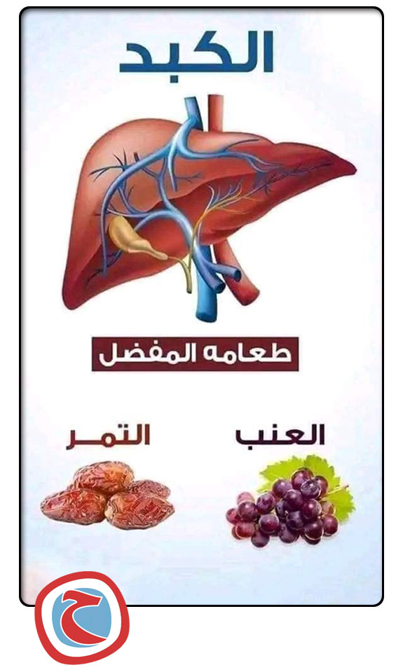 الطعام المفضل لكل عضو فى جسمك