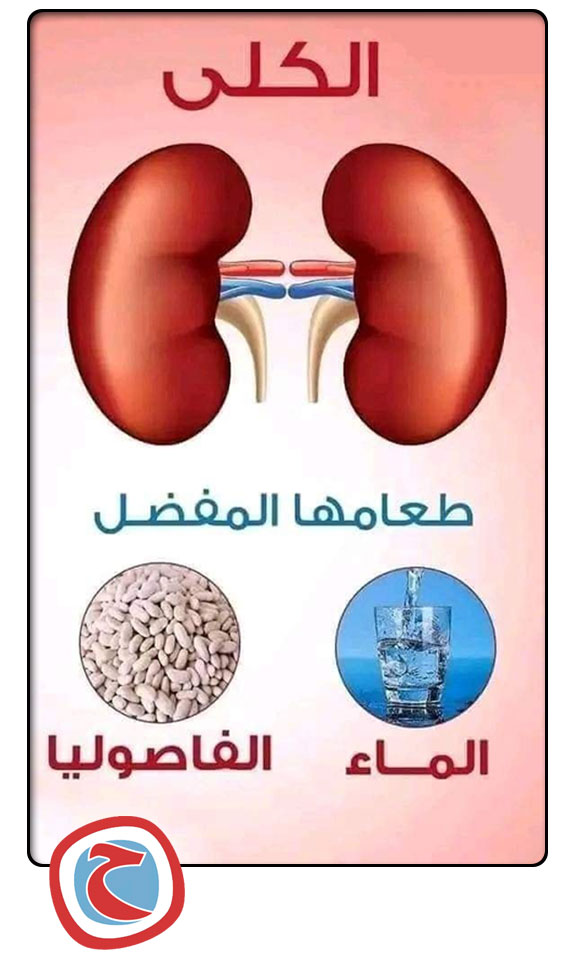 الطعام المفضل لكل عضو فى جسمك