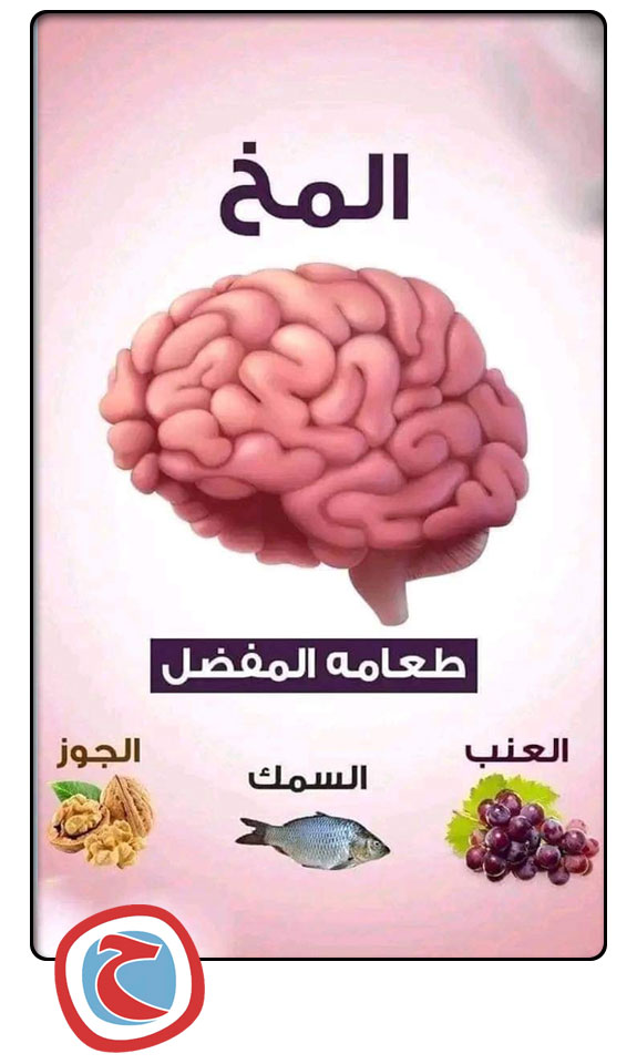 الطعام المفضل لكل عضو فى جسمك