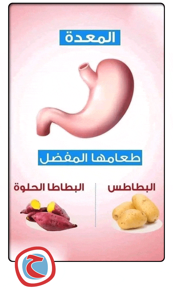 الطعام المفضل لكل عضو فى جسمك