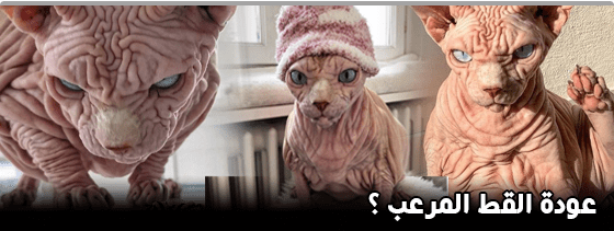 عجائب,وطرائف,وغرائب,العالم,غرائب,وعجائب,النساء,موقع,facebook,أغرب,الحياة,مضحكة,كتاب,تحميل,بالصور,نيوز,google,عربي,بوست,العجائب,الأوسكار,جوائز,كتب,اليمن,الغرائب,جريدة,alarab,pdf,صور,البحث,عجائب,وطرائف,وغرائب,العالم,غرائب,وعجائب,النساء,موقع,facebook,أغرب,الحياة,مضحكة,كتاب,تحميل,بالصور,نيوز,google,عربي,بوست,العجائب,الأوسكار,جوائز,كتب,اليمن,الغرائب,جريدة,alarab,pdf,صور,البحث,عجائب وغرائب,عجائب وغرائب وطرائف,عجائب وغرائب الدنيا,عجائب وغرائب وطرائف حول العالم,طرائف وغرائب وعجائب,عجائب وطرائف مضحكه,عجائب,عجائب وغرائب العالم,عجائب وغرائب في الدنيا,عجائب وغرائب حول العالم,غرائب وعجائب,عجائب وغرائب دنيا,عجائب وطرائف,عجائب وغرائب تحت الماء,عجائب وغرائب مضحكه جدا,مواقف وغرائب وعجائب,حوادث وغرائب وعجائب,عجائب وغرائب المخلوقات,قصص عجائب وغرائب الدنيا,عجائب وغرائب عن الكواكب,عجائب وغرائب الشعب المصري,عجائب وغرائب البشر حول العالم