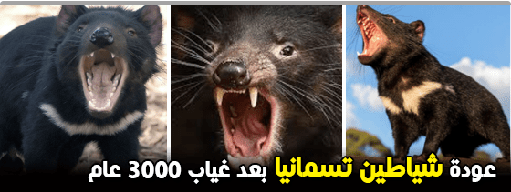 عجائب,وطرائف,وغرائب,العالم,غرائب,وعجائب,النساء,موقع,facebook,أغرب,الحياة,مضحكة,كتاب,تحميل,بالصور,نيوز,google,عربي,بوست,العجائب,الأوسكار,جوائز,كتب,اليمن,الغرائب,جريدة,alarab,pdf,صور,البحث,عجائب,وطرائف,وغرائب,العالم,غرائب,وعجائب,النساء,موقع,facebook,أغرب,الحياة,مضحكة,كتاب,تحميل,بالصور,نيوز,google,عربي,بوست,العجائب,الأوسكار,جوائز,كتب,اليمن,الغرائب,جريدة,alarab,pdf,صور,البحث,عجائب وغرائب,عجائب وغرائب وطرائف,عجائب وغرائب الدنيا,عجائب وغرائب وطرائف حول العالم,طرائف وغرائب وعجائب,عجائب وطرائف مضحكه,عجائب,عجائب وغرائب العالم,عجائب وغرائب في الدنيا,عجائب وغرائب حول العالم,غرائب وعجائب,عجائب وغرائب دنيا,عجائب وطرائف,عجائب وغرائب تحت الماء,عجائب وغرائب مضحكه جدا,مواقف وغرائب وعجائب,حوادث وغرائب وعجائب,عجائب وغرائب المخلوقات,قصص عجائب وغرائب الدنيا,عجائب وغرائب عن الكواكب,عجائب وغرائب الشعب المصري,عجائب وغرائب البشر حول العالم