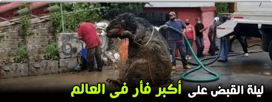 عجائب,وطرائف,وغرائب,العالم,غرائب,وعجائب,النساء,موقع,facebook,أغرب,الحياة,مضحكة,كتاب,تحميل,بالصور,نيوز,google,عربي,بوست,العجائب,الأوسكار,جوائز,كتب,اليمن,الغرائب,جريدة,alarab,pdf,صور,البحث,عجائب,وطرائف,وغرائب,العالم,غرائب,وعجائب,النساء,موقع,facebook,أغرب,الحياة,مضحكة,كتاب,تحميل,بالصور,نيوز,google,عربي,بوست,العجائب,الأوسكار,جوائز,كتب,اليمن,الغرائب,جريدة,alarab,pdf,صور,البحث,عجائب وغرائب,عجائب وغرائب وطرائف,عجائب وغرائب الدنيا,عجائب وغرائب وطرائف حول العالم,طرائف وغرائب وعجائب,عجائب وطرائف مضحكه,عجائب,عجائب وغرائب العالم,عجائب وغرائب في الدنيا,عجائب وغرائب حول العالم,غرائب وعجائب,عجائب وغرائب دنيا,عجائب وطرائف,عجائب وغرائب تحت الماء,عجائب وغرائب مضحكه جدا,مواقف وغرائب وعجائب,حوادث وغرائب وعجائب,عجائب وغرائب المخلوقات,قصص عجائب وغرائب الدنيا,عجائب وغرائب عن الكواكب,عجائب وغرائب الشعب المصري,عجائب وغرائب البشر حول العالم