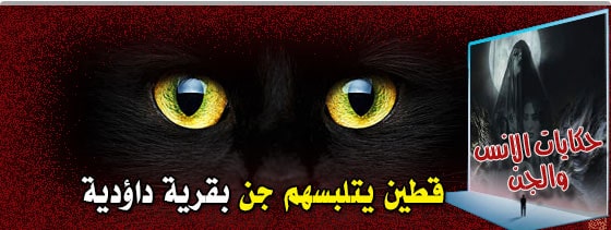 الجن,قصص الجن,سورة الجن,تحضير الجن,الجن المسلم,الجن العاشق,أساطير الجن,الإنس والجن,الجن.,عن الجن,سحر الجن,شكل الجن,مدن الجن,سوة الجن,قصص الجن و الارواح,الجندي,عالم الجن,الجن جهاد,عوالم الجن,الجن يتكلم,فيديو الجن,فوبيا الجن,مدينة الجن,اساطير الجن والعفاريت,قصص جن طريق الجنوب,الجن والانس,عن عالم الجن,اسطورة الجن,ازاي اصرف الجن من الجسد,مغامرات الجن,استدعاء الجن,الجن الحقيقي,الجن والبنات,هل الجن موجود,الجن المسلم والجن الكافر,الفضائين,زوار الفضاء,الماورئيات,الغيبيات,الاشباح