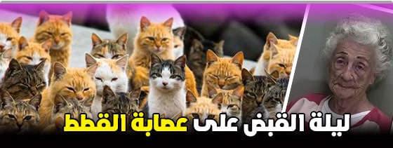 عجائب,وطرائف,وغرائب,العالم,غرائب,وعجائب,النساء,موقع,facebook,أغرب,الحياة,مضحكة,كتاب,تحميل,بالصور,نيوز,google,عربي,بوست,العجائب,الأوسكار,جوائز,كتب,اليمن,الغرائب,جريدة,alarab,pdf,صور,البحث,عجائب,وطرائف,وغرائب,العالم,غرائب,وعجائب,النساء,موقع,facebook,أغرب,الحياة,مضحكة,كتاب,تحميل,بالصور,نيوز,google,عربي,بوست,العجائب,الأوسكار,جوائز,كتب,اليمن,الغرائب,جريدة,alarab,pdf,صور,البحث,عجائب وغرائب,عجائب وغرائب وطرائف,عجائب وغرائب الدنيا,عجائب وغرائب وطرائف حول العالم,طرائف وغرائب وعجائب,عجائب وطرائف مضحكه,عجائب,عجائب وغرائب العالم,عجائب وغرائب في الدنيا,عجائب وغرائب حول العالم,غرائب وعجائب,عجائب وغرائب دنيا,عجائب وطرائف,عجائب وغرائب تحت الماء,عجائب وغرائب مضحكه جدا,مواقف وغرائب وعجائب,حوادث وغرائب وعجائب,عجائب وغرائب المخلوقات,قصص عجائب وغرائب الدنيا,عجائب وغرائب عن الكواكب,عجائب وغرائب الشعب المصري,عجائب وغرائب البشر حول العالم