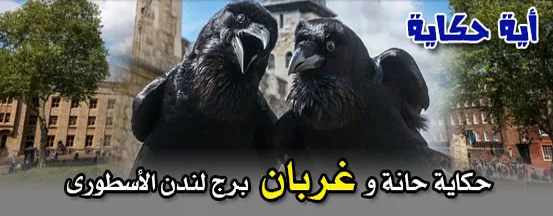 كيفية اختيار اسم الموقع,اسم الموقع,الموقع,اسم قالب الموقع,اختيار اسم الموقع,خريطة الموقع sitemap,تغيير اسم الموقع في ووردبريس,اختيار اسم الموقع الإلكتروني,العنوان الالكتروني للموقع,حل مشكلة cls أكثر من 0.25 سرعة المواقع,تسريع الارشفة,تحميل قالب newspaper,اسم قالب اي موقع,موقعك,كيف انقل موقعي,موقع الكتروني,نقل موقع من استضافة الى اخرى,موقع بردو,نسخ موقع بالكامل,كيفية اختيار اسم الدومين,اسم الدومين,موقف,انشاء موقع الكتروني,تعلم التسويق